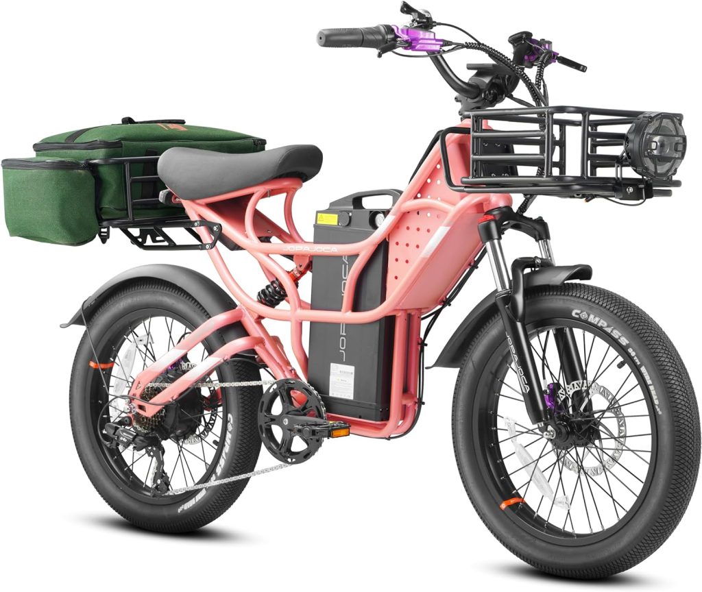 HEDONIC Cupid Electric Bike Review