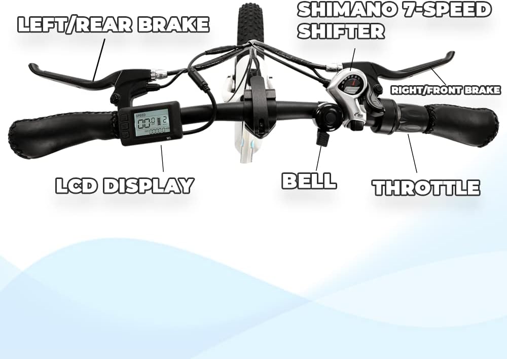 ECOTRIC 20" Powerful Electric Bike Review