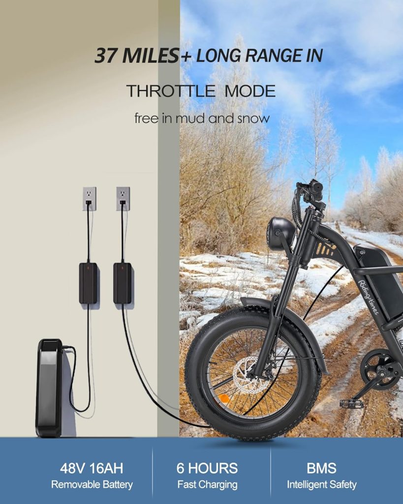 BOOTIME Fat Tire Electric Bike Review