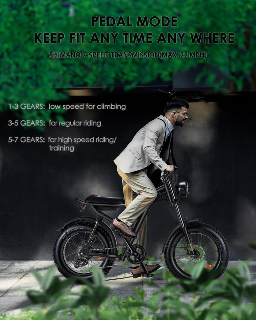 BOOTIME Fat Tire Electric Bike Review