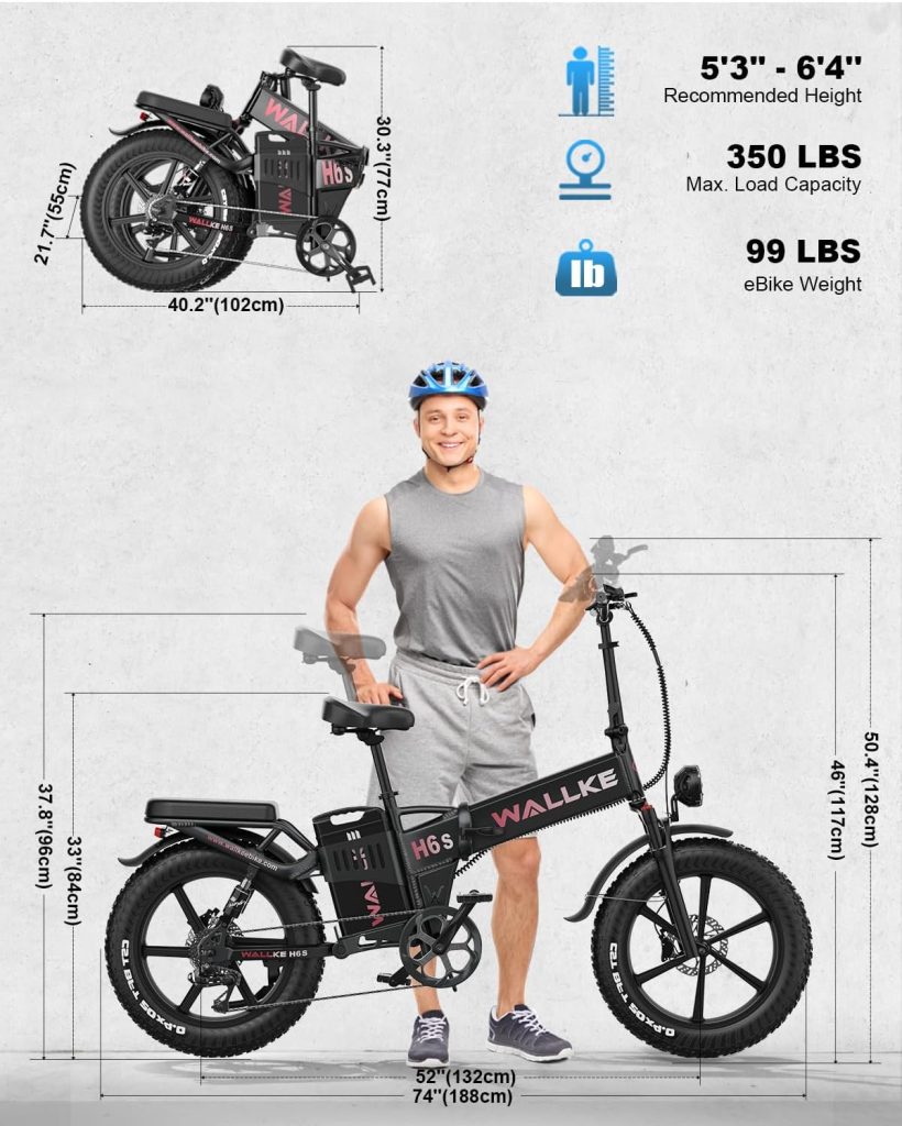 Wallke Electric Bike Review 