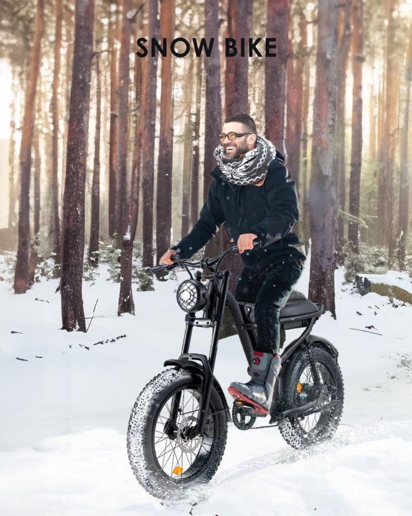 BOOTIME Fat Tire Electric Bike Review