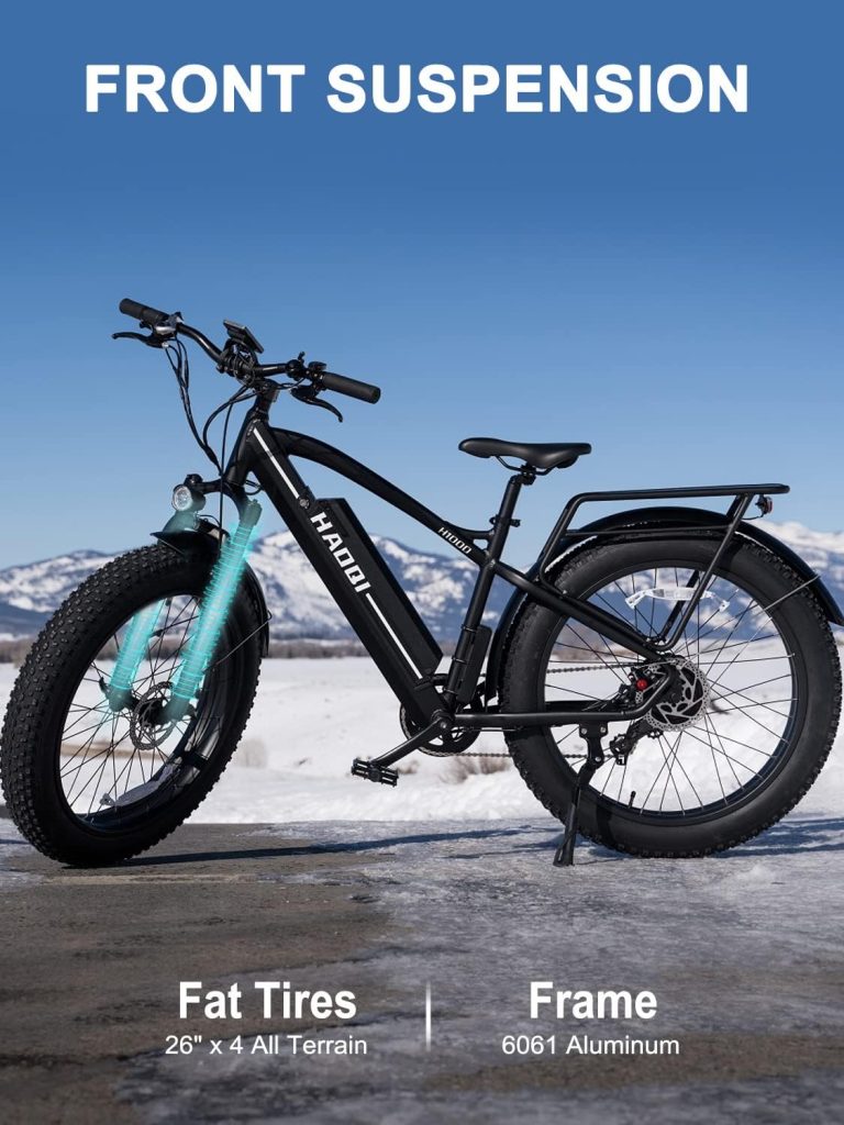 HAOQI Electric Bike Review