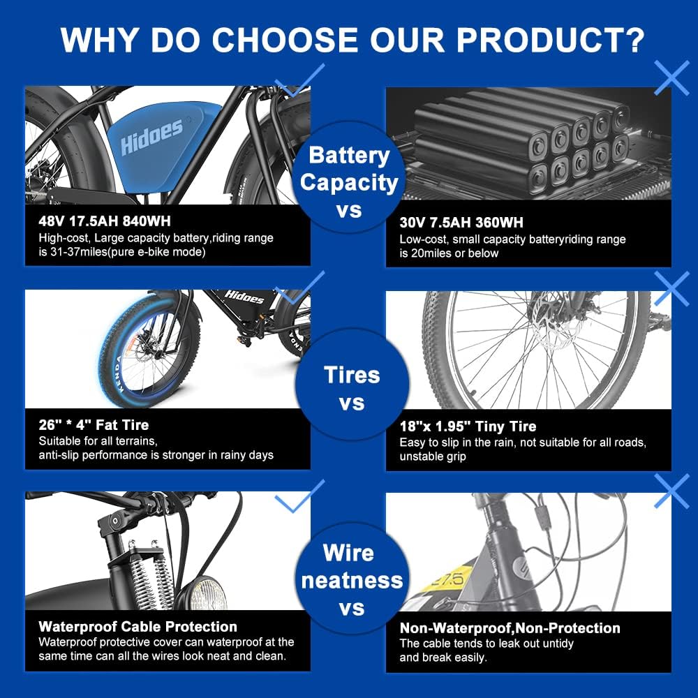 Kanpe Electric Bicycle Review