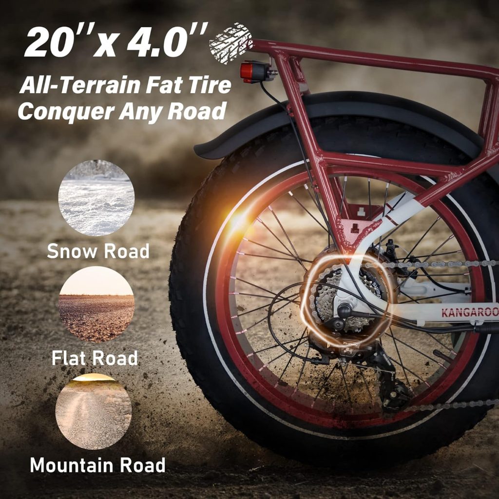 VTUVIA Electric Bike Review