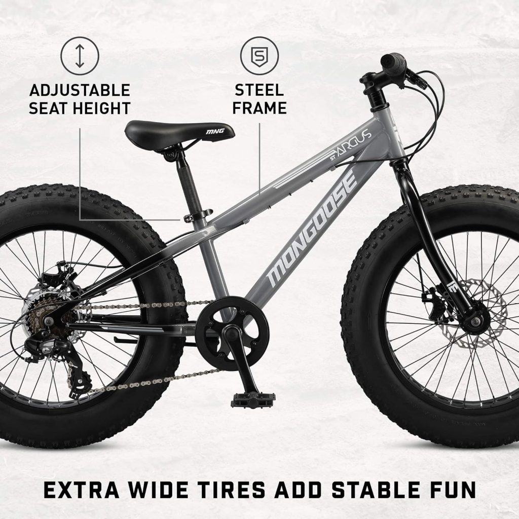 Mongoose Argus ST Kids Fat Tire Mountain Bike Review 