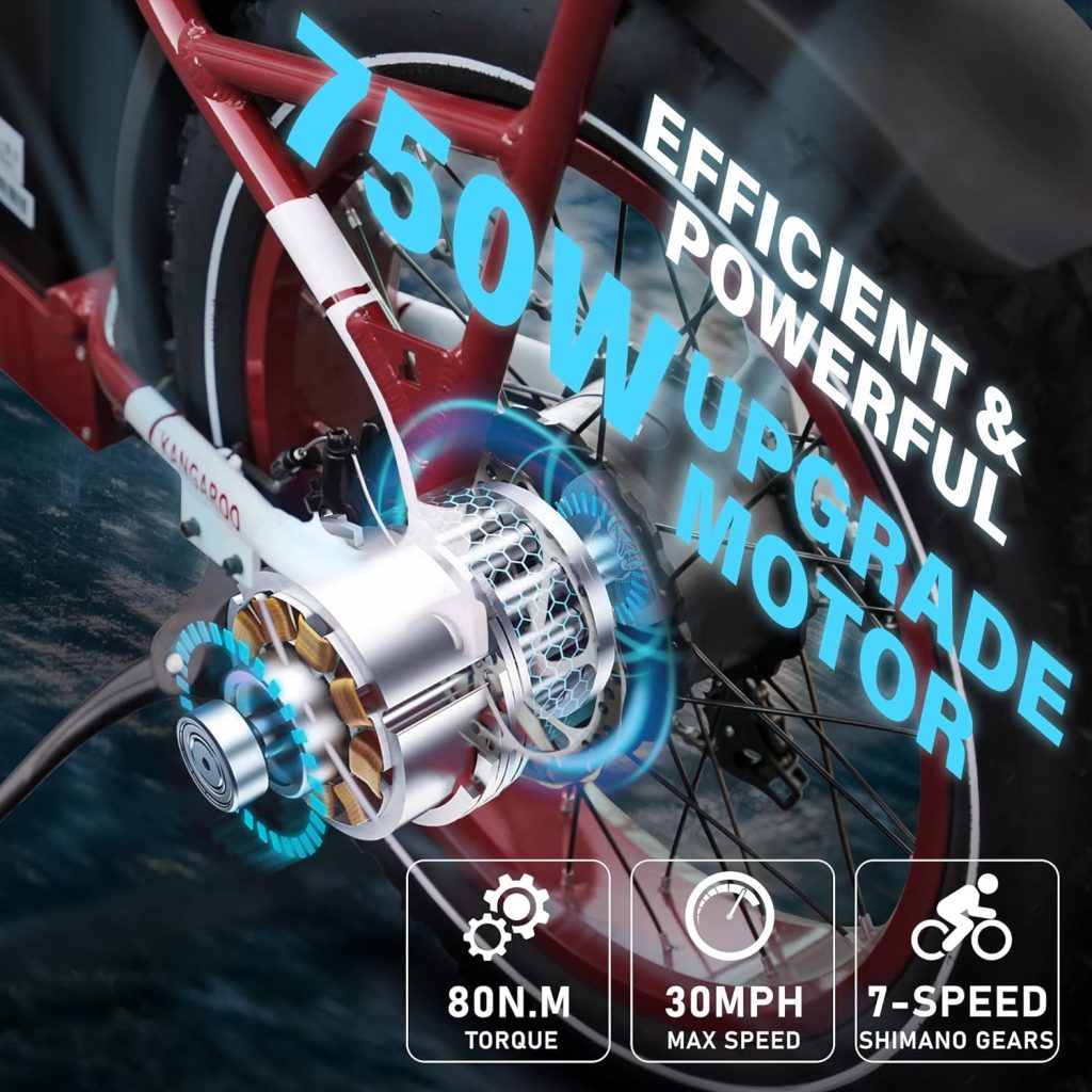 VTUVIA Electric Bike Review