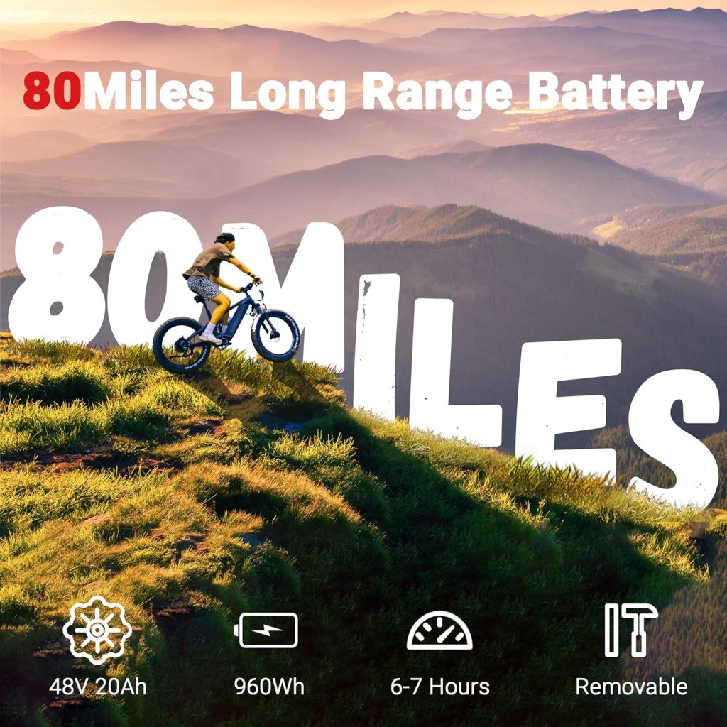 Himiway Cobra Electric Bike Review