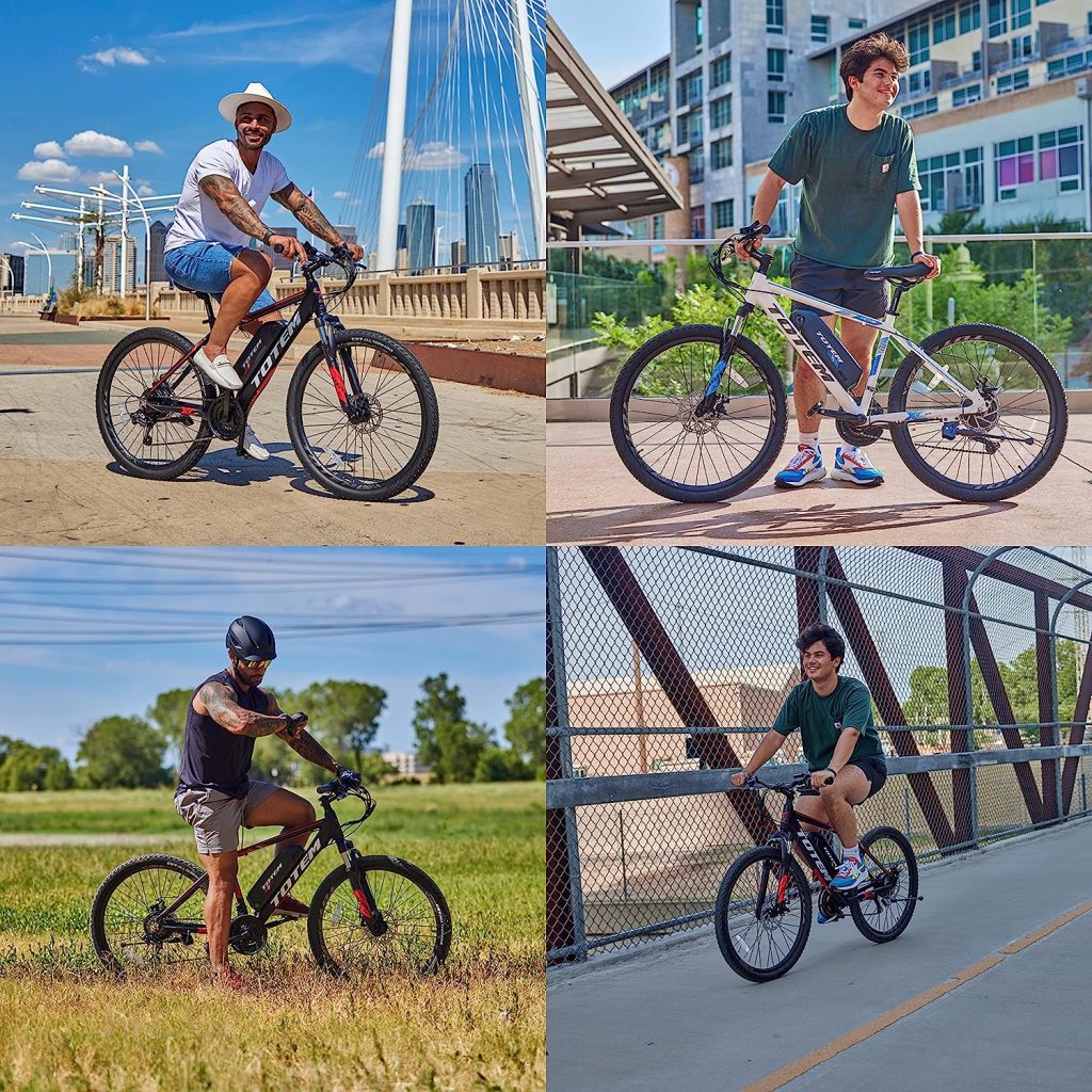 Totem Electric Bike Review