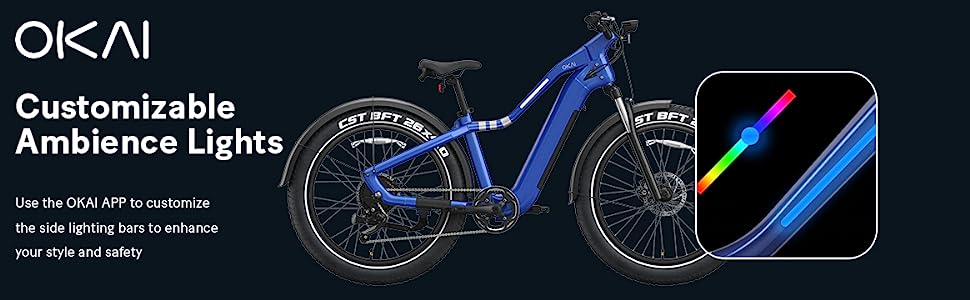 OKAI Ranger Electric Bike Review