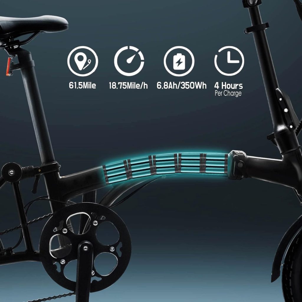 iGOGOMi ALPS Folding Electric Bike Review