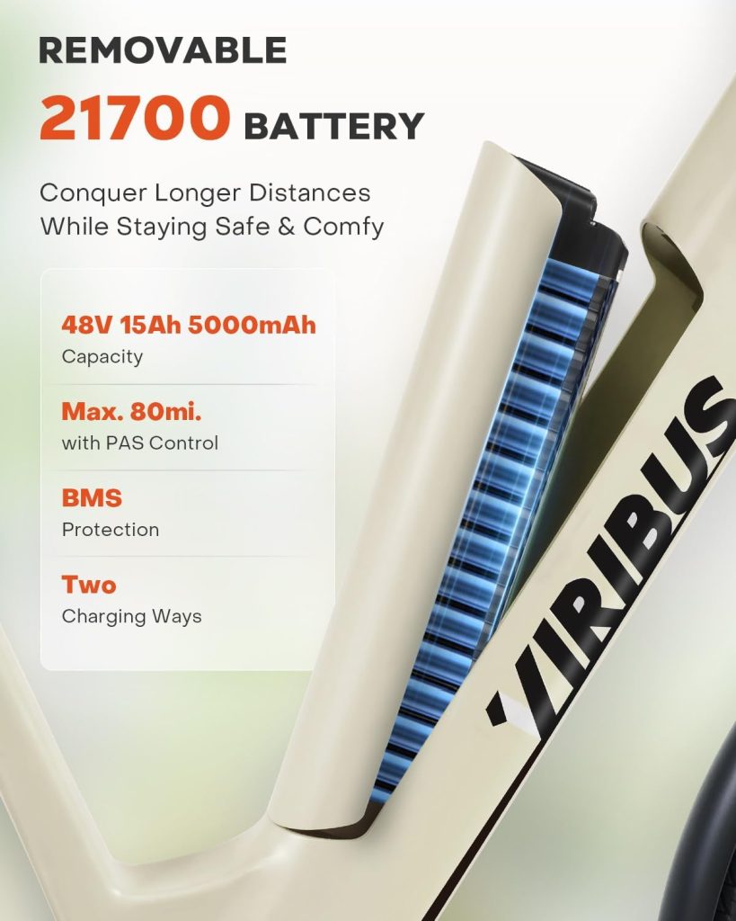 Viribus Electric Commuter Bike Review