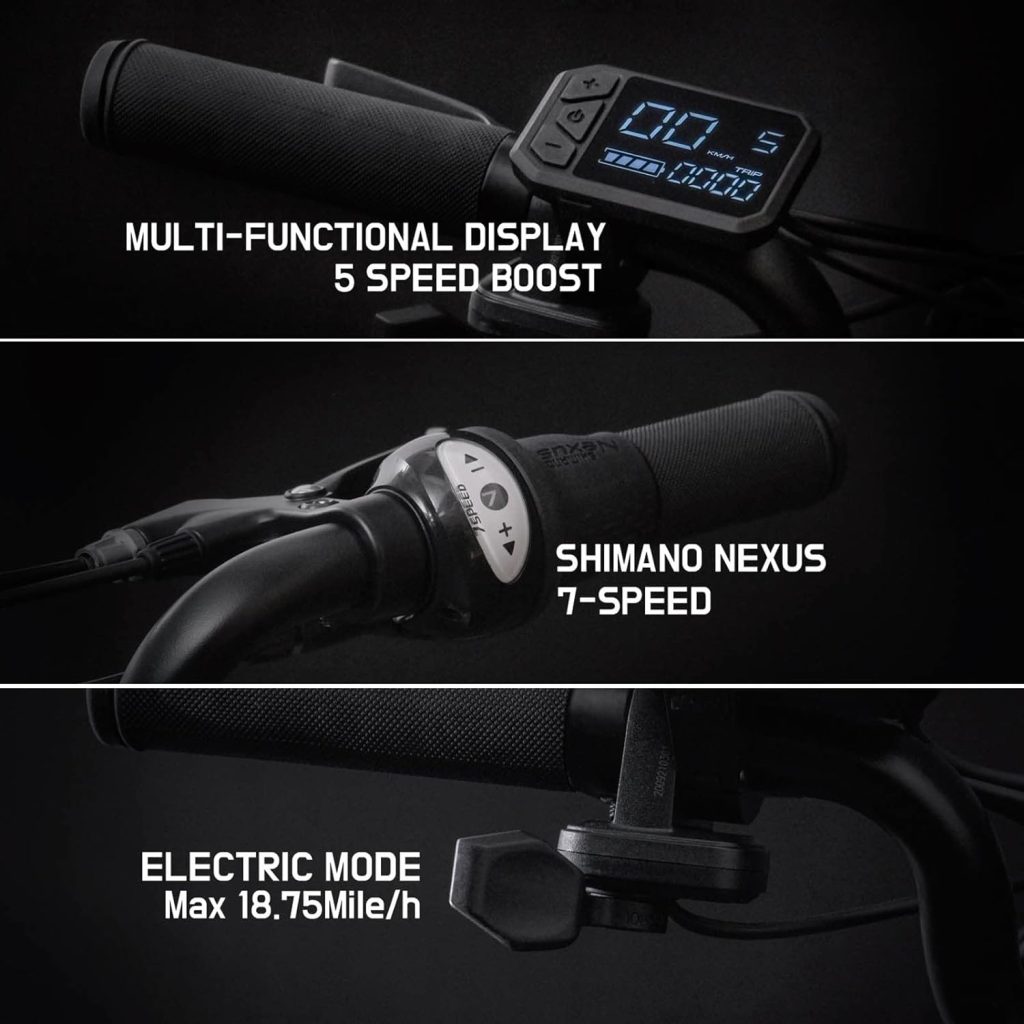 iGOGOMi ALPS Folding Electric Bike Review