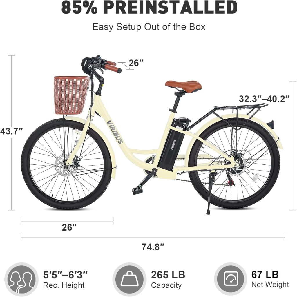 Viribus Cruiser Electric Bike Review