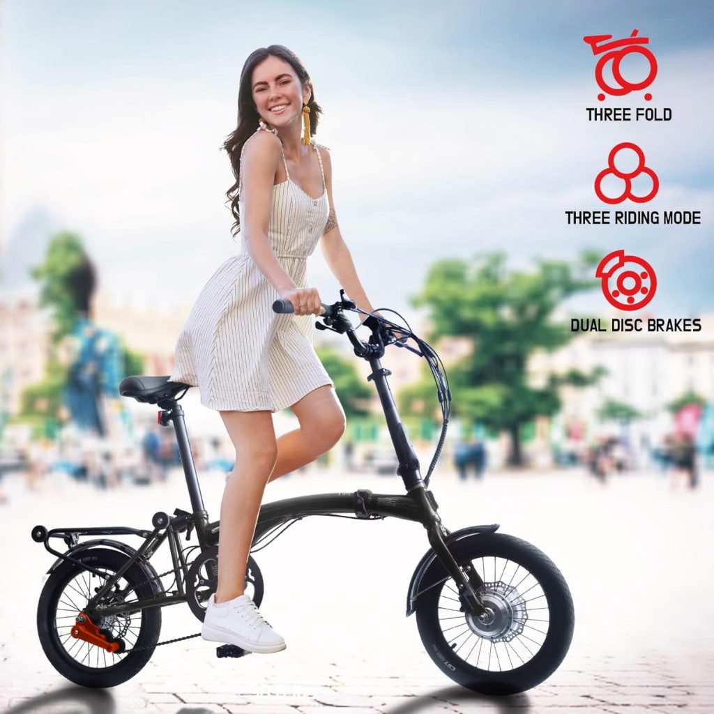 iGOGOMi ALPS Folding Electric Bike Review