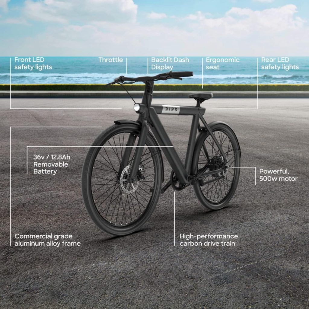 SEHOMY Bird Electric Bike Review