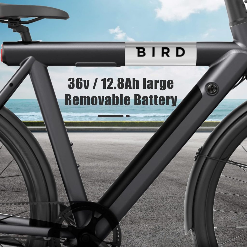 SEHOMY Bird Electric Bike Review
