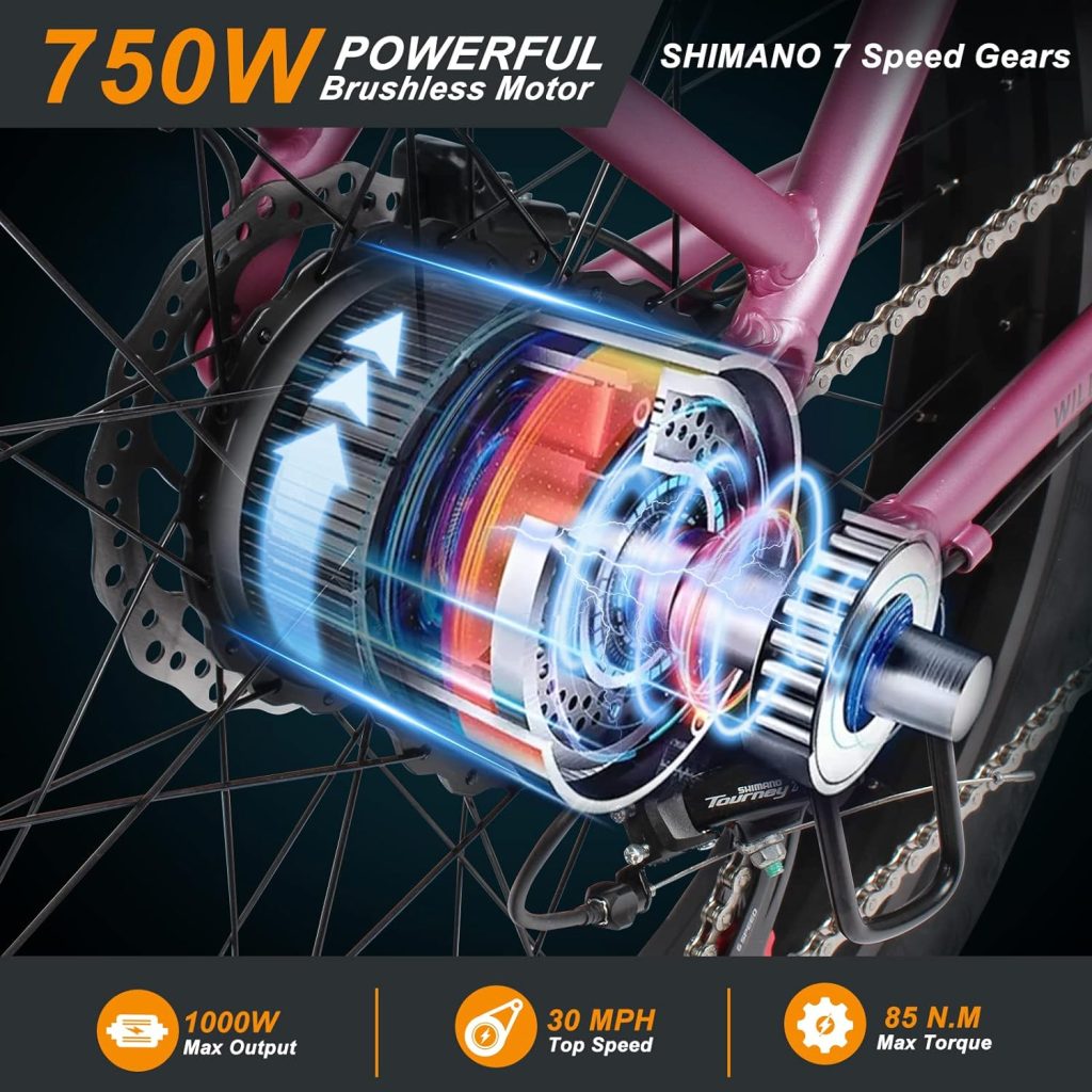 Wildeway Fat Tire Electric Bike Review