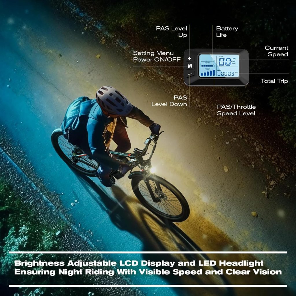 EDIKANI Electric Bike Review