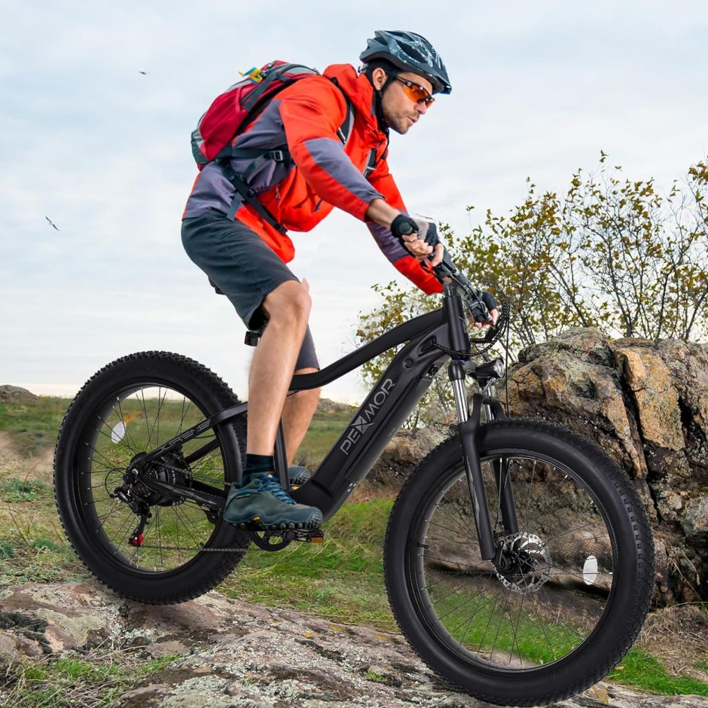 PEXMOR Electric Bike Review