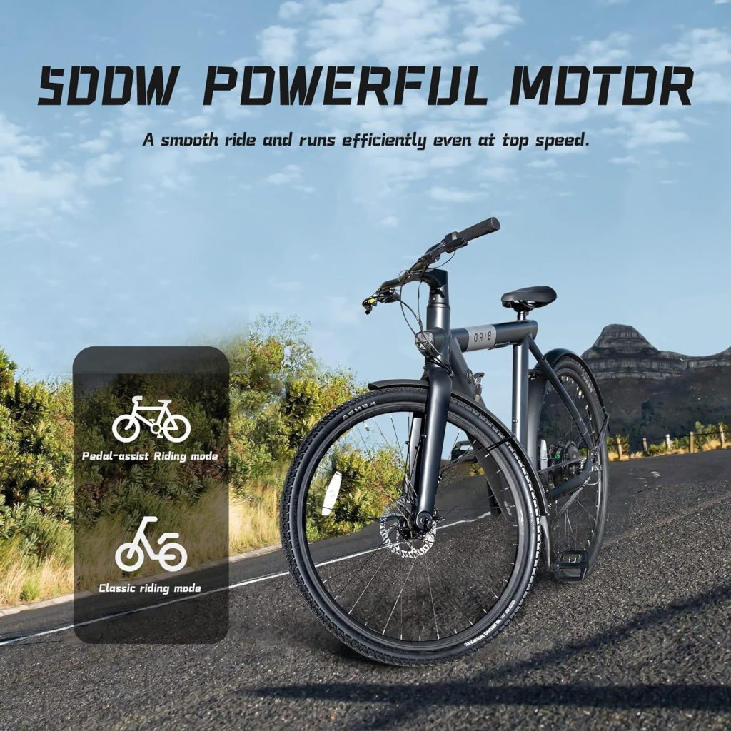 SEHOMY Bird Electric Bike Review