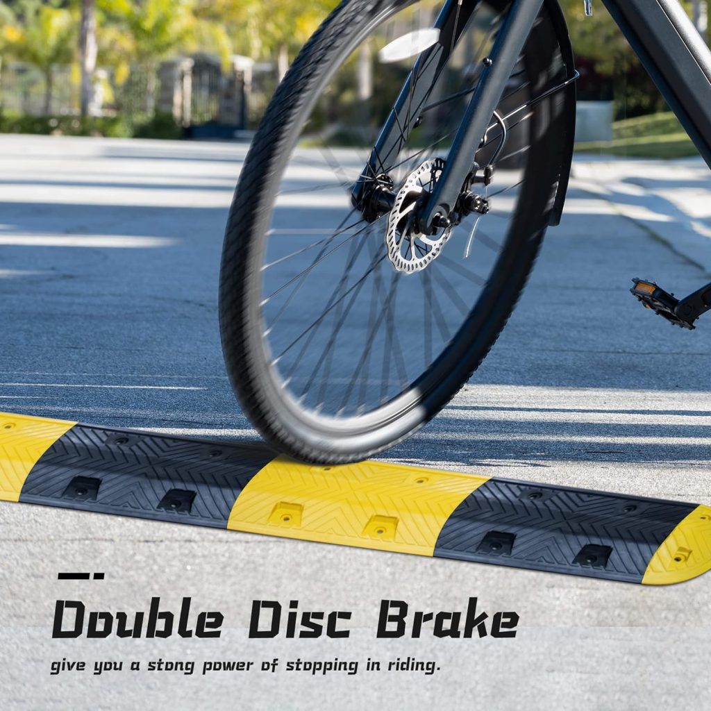 SEHOMY Bird Electric Bike Review