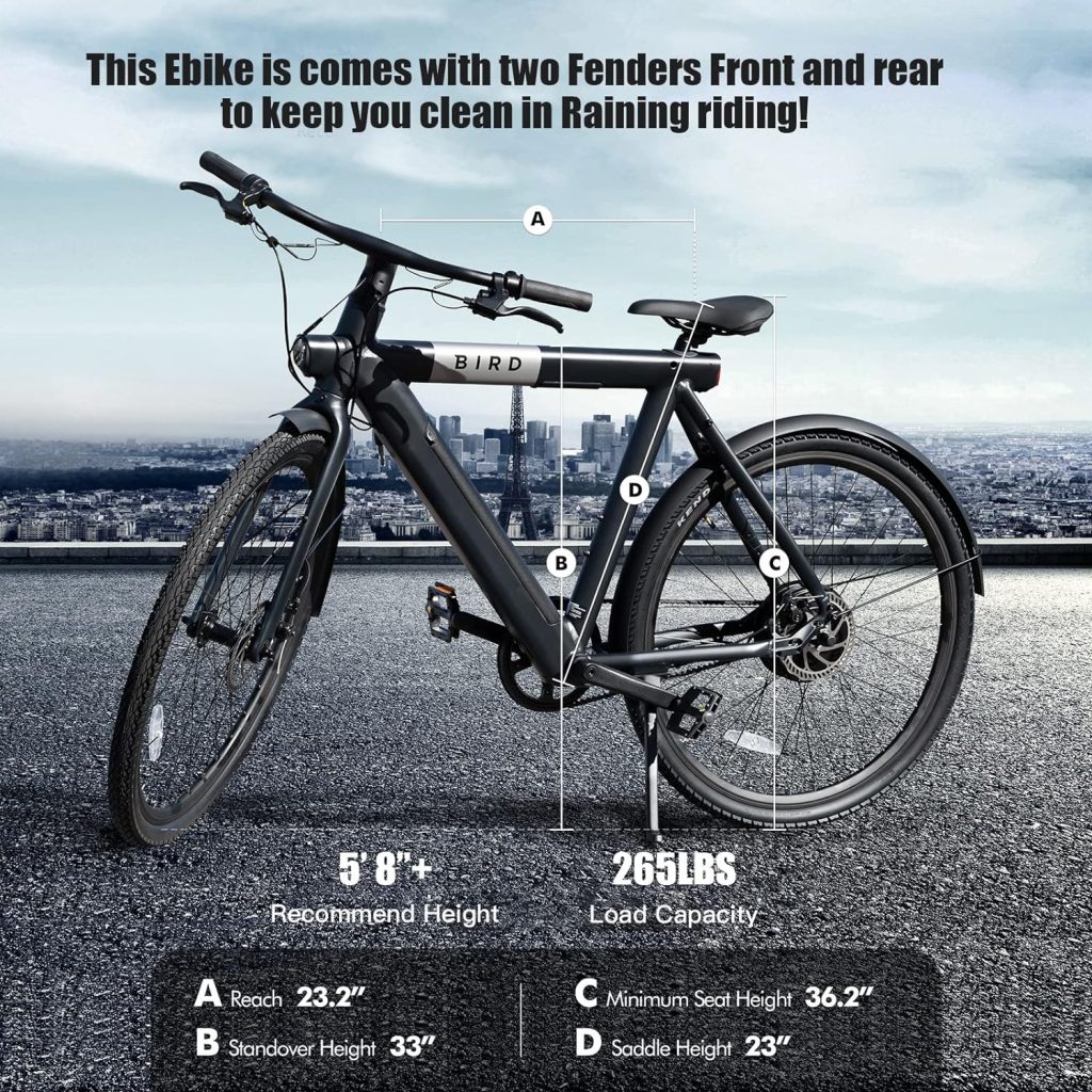 SEHOMY Bird Electric Bike Review