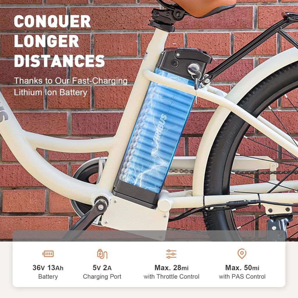 Viribus Cruiser Electric Bike Review