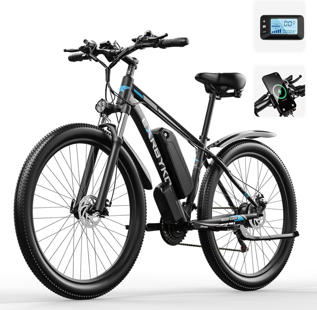 EXRBYKO Electric Bike Review