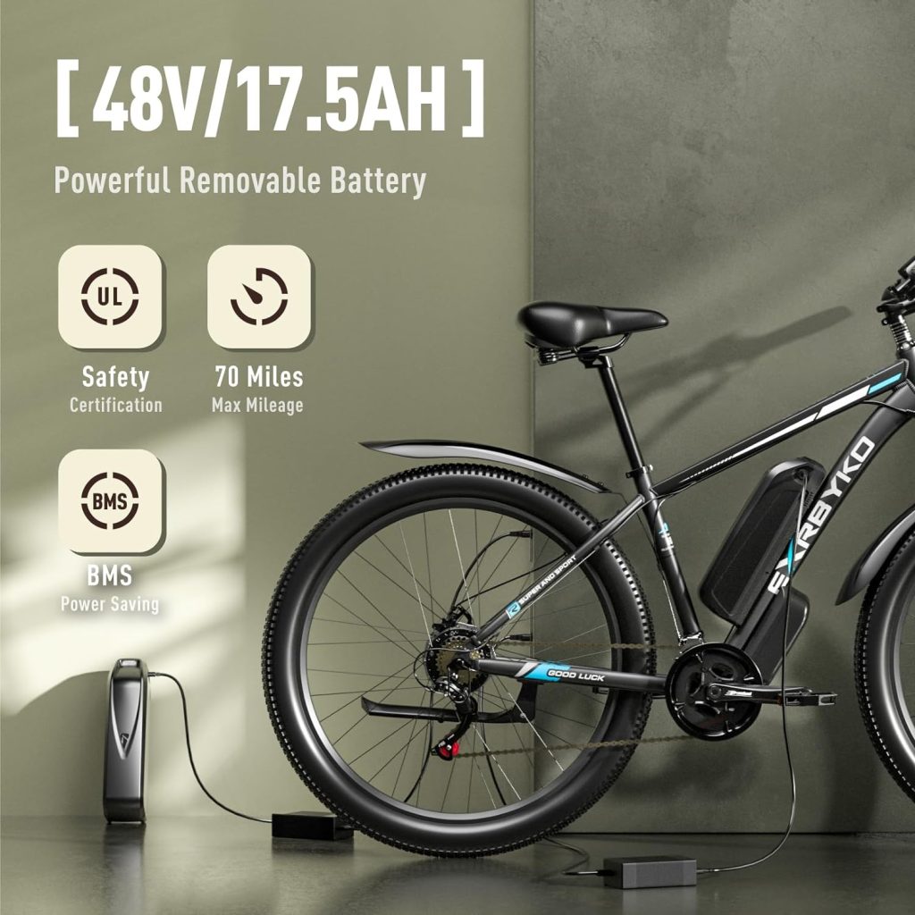 EXRBYKO Electric Bike Review