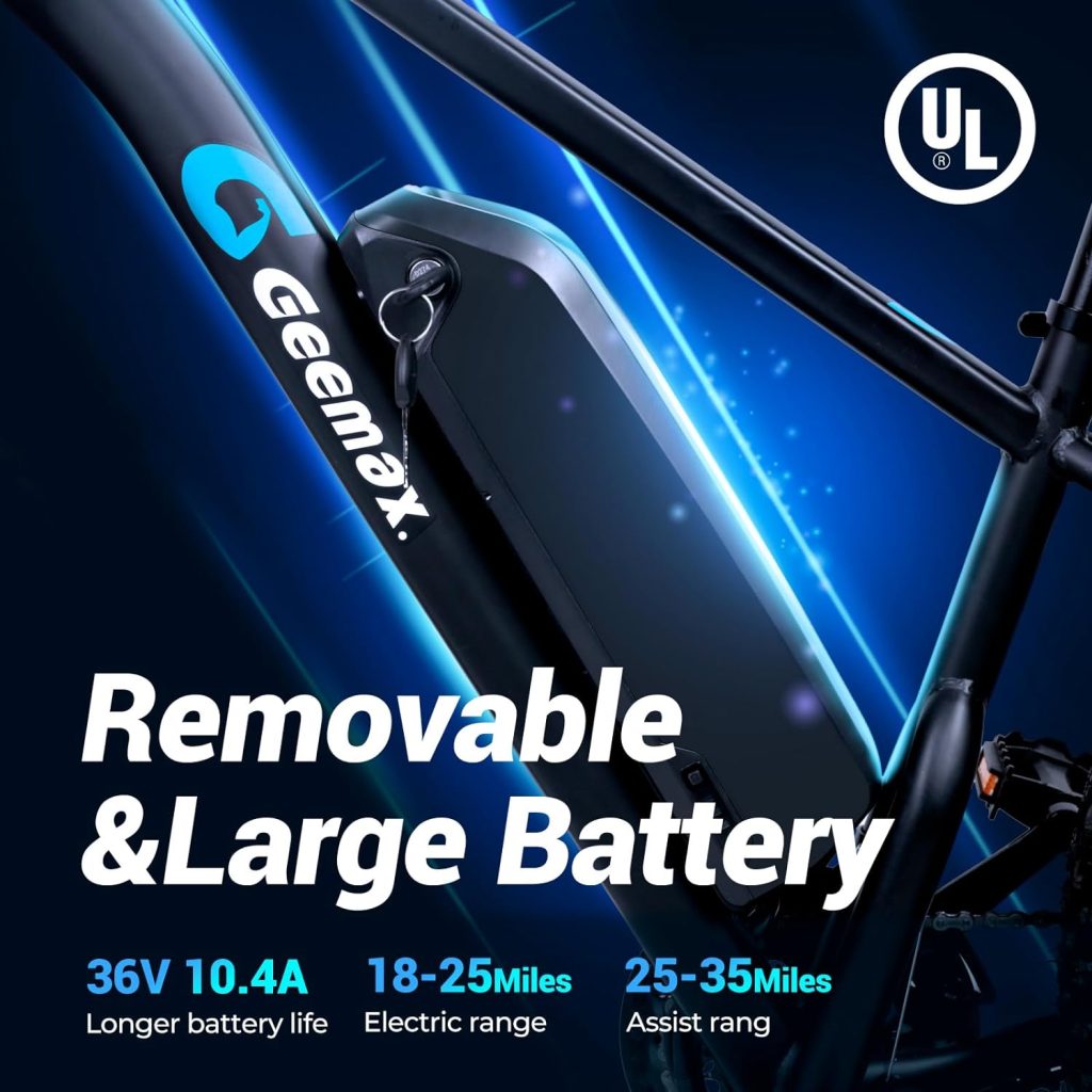 Geemax Electric Bike Review