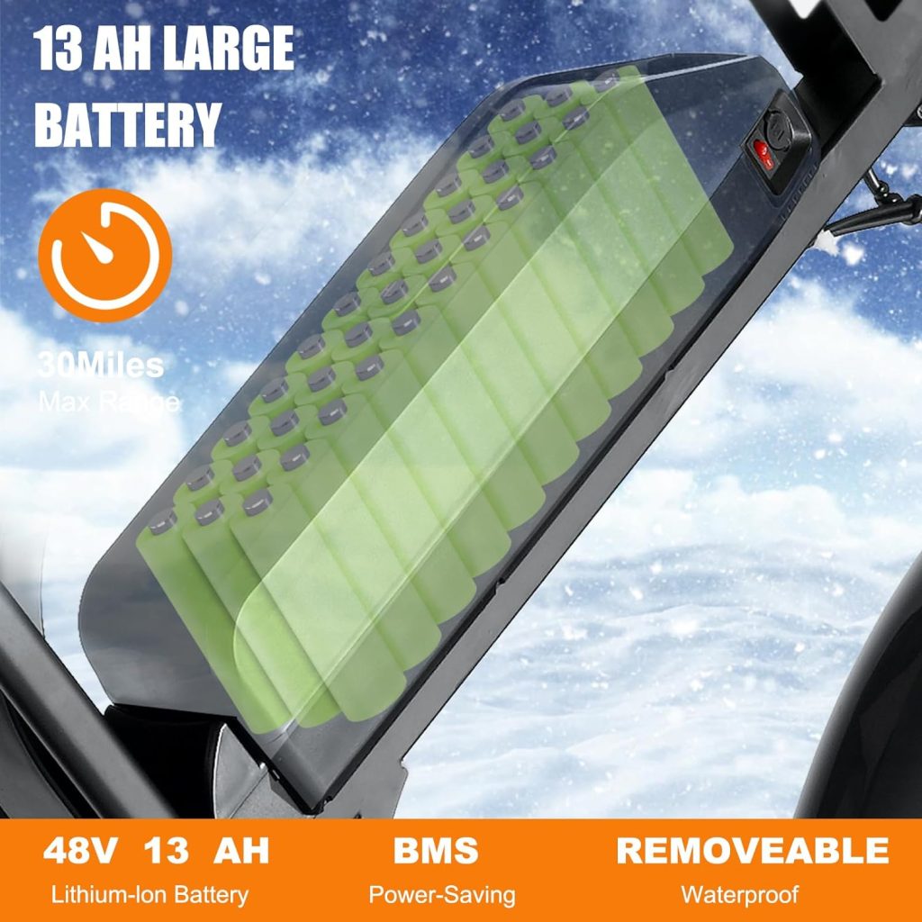 Tamobyke Electric Bike Review 