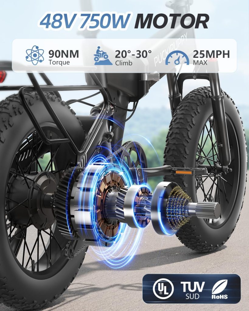 PUCKIPUPPY Folding Electric Bike Review