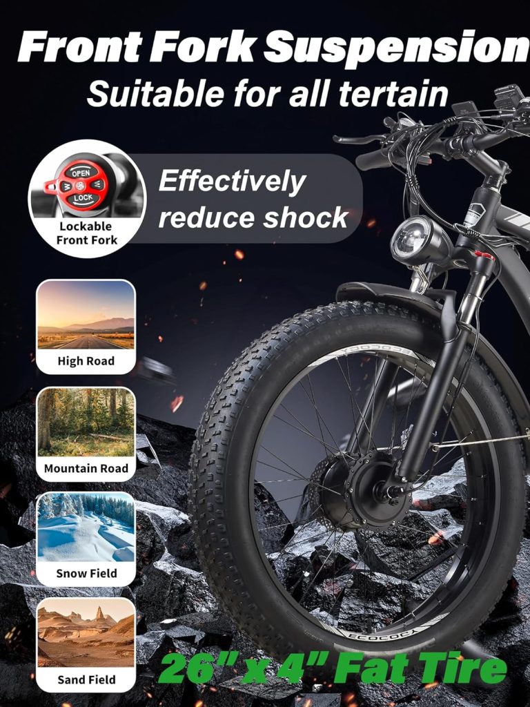 ECOCOGY Electric Bike Review