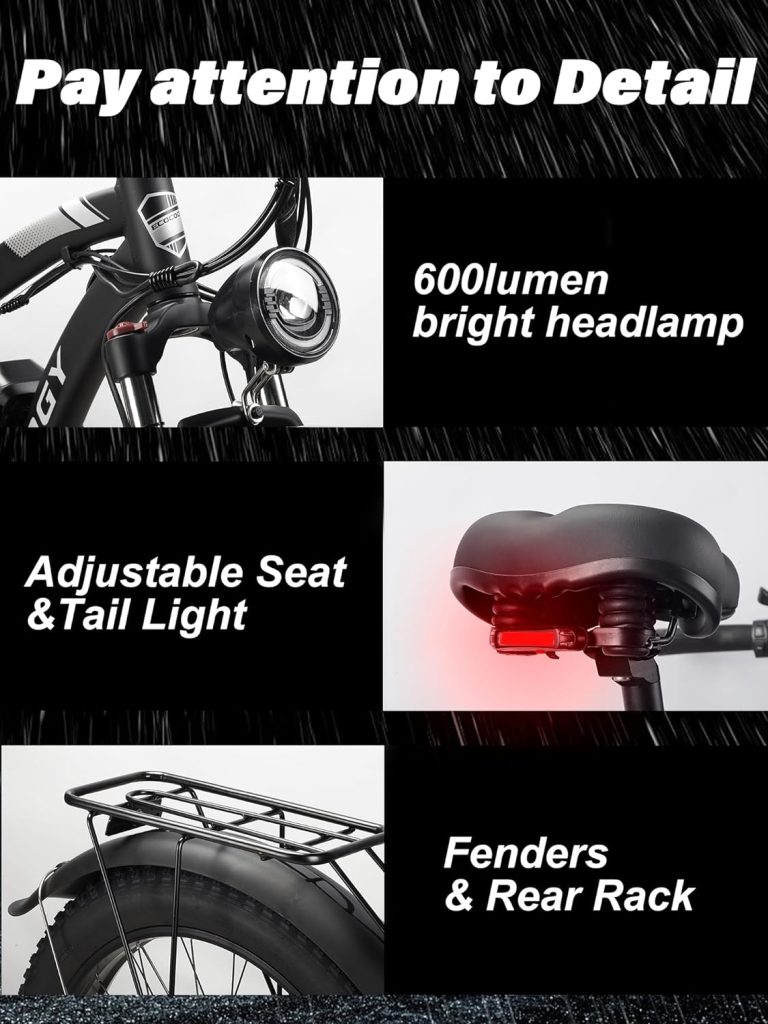 ECOCOGY Electric Bike Review