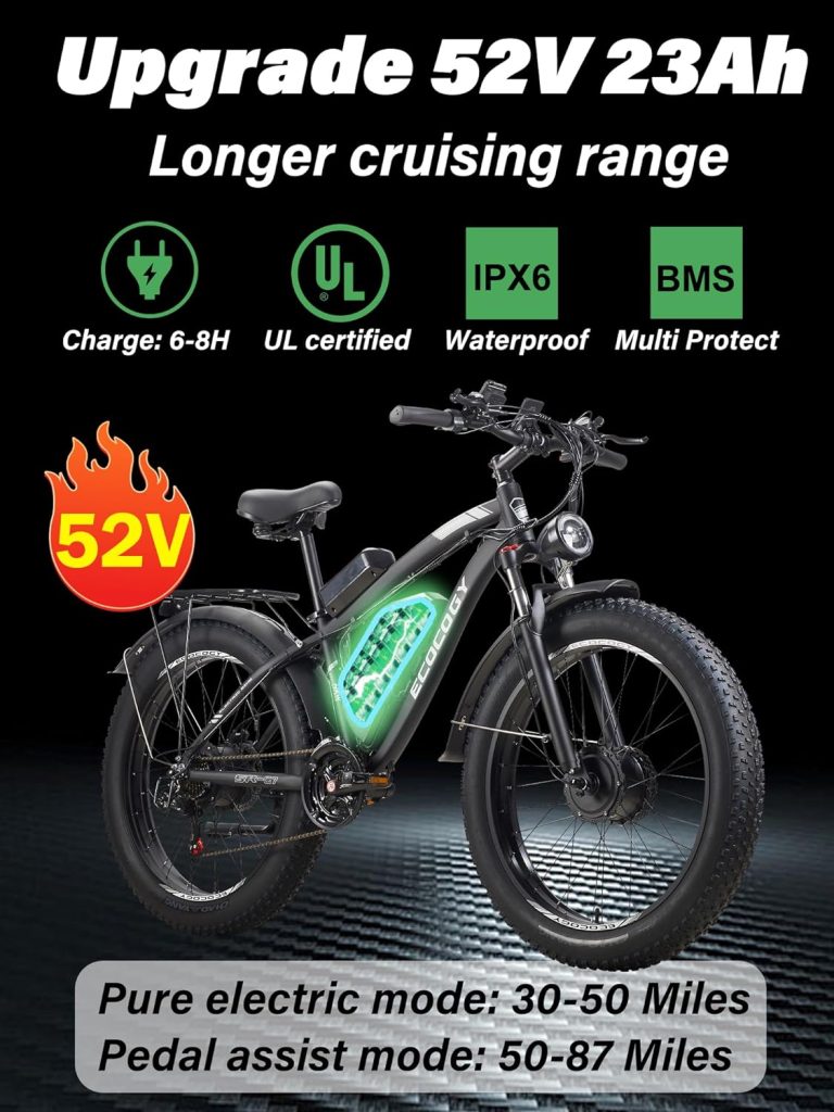 ECOCOGY Electric Bike Review