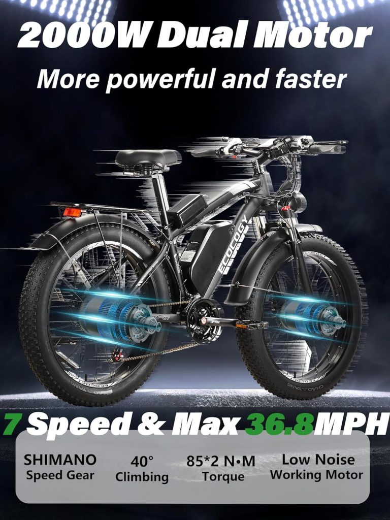 ECOCOGY Electric Bike Review