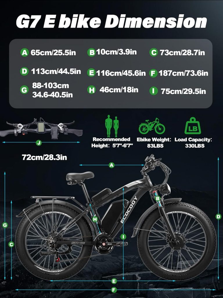 ECOCOGY Electric Bike Review
