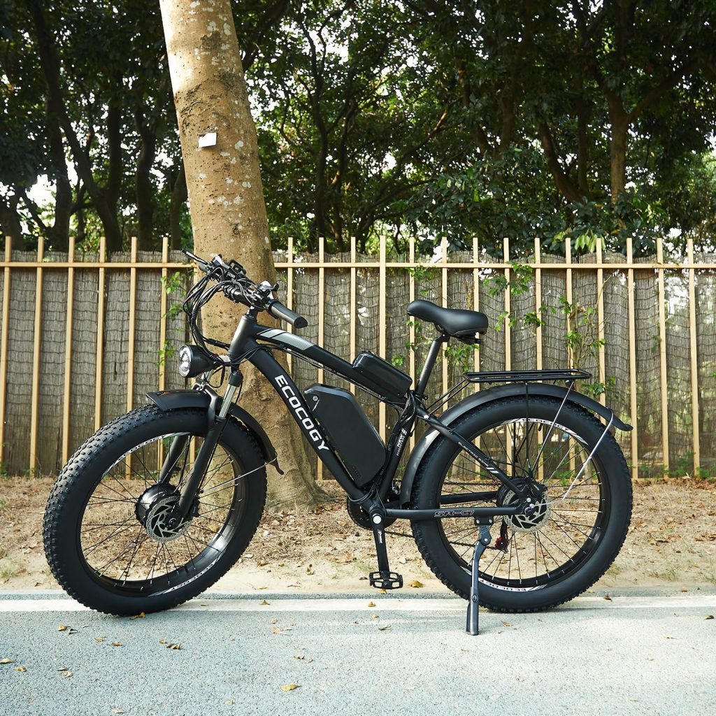 ECOCOGY Electric Bike Review