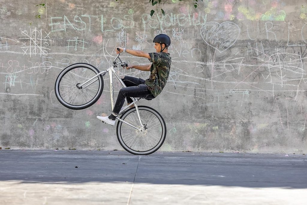 Mongoose Hooligan Fat Tire BMX Bike Review