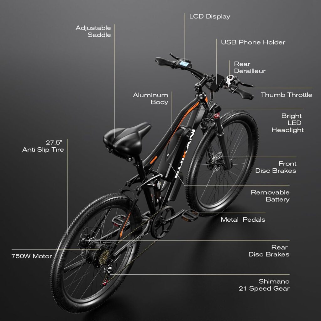 EDIKANI Electric Bike Review