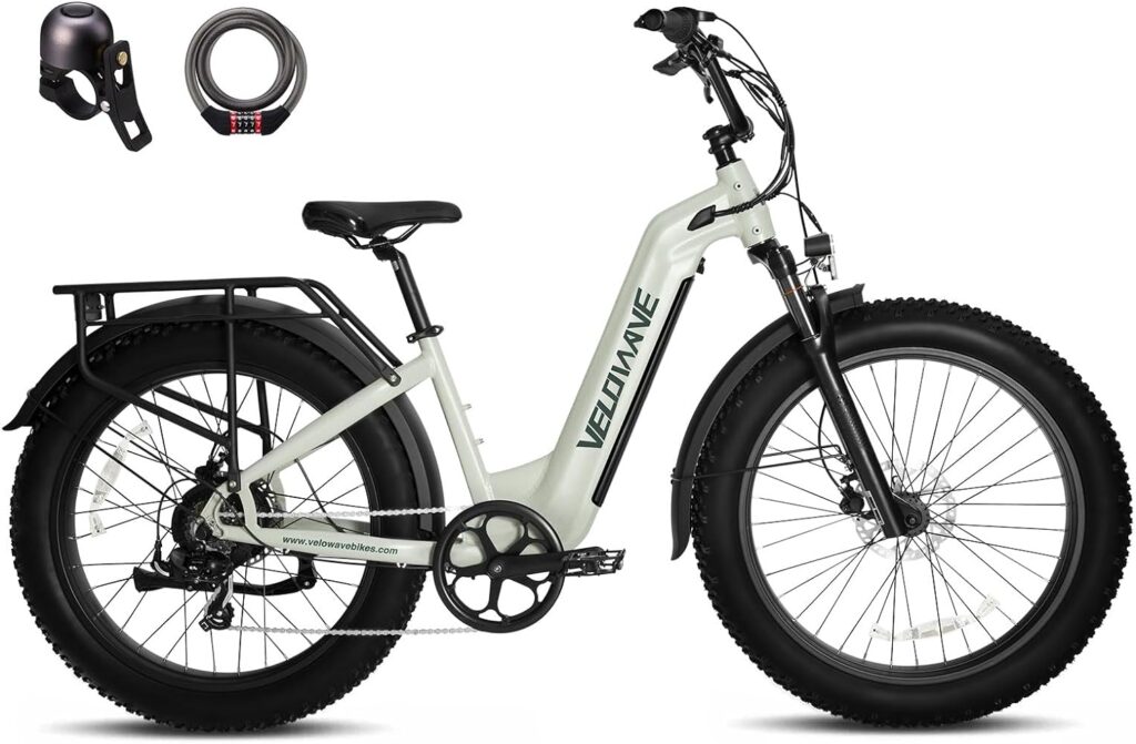 Velowave Electric Bike Review
