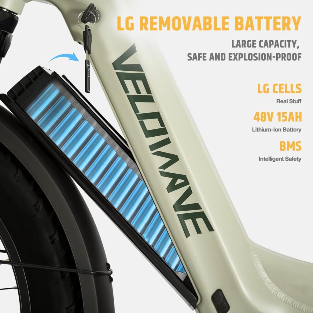 Velowave Electric Bike Review