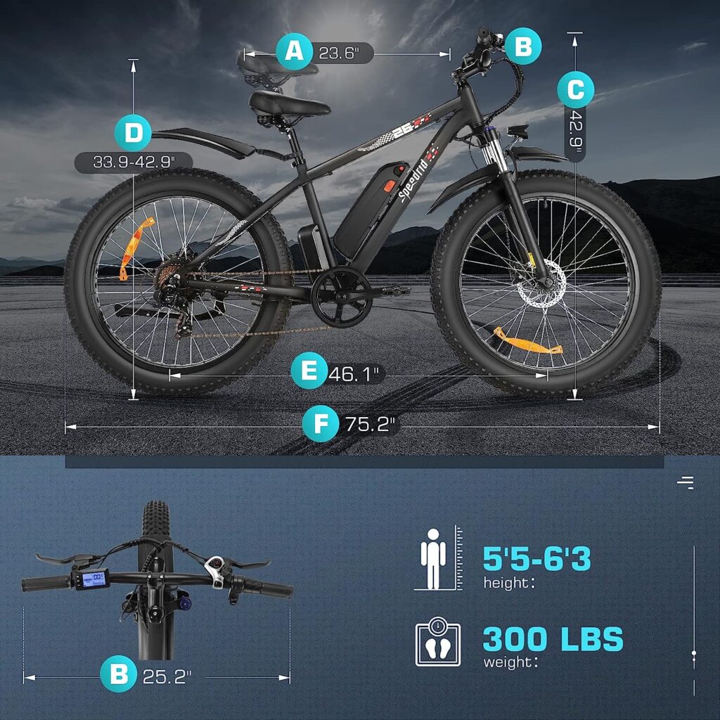 Speedrid Electric Bike Review