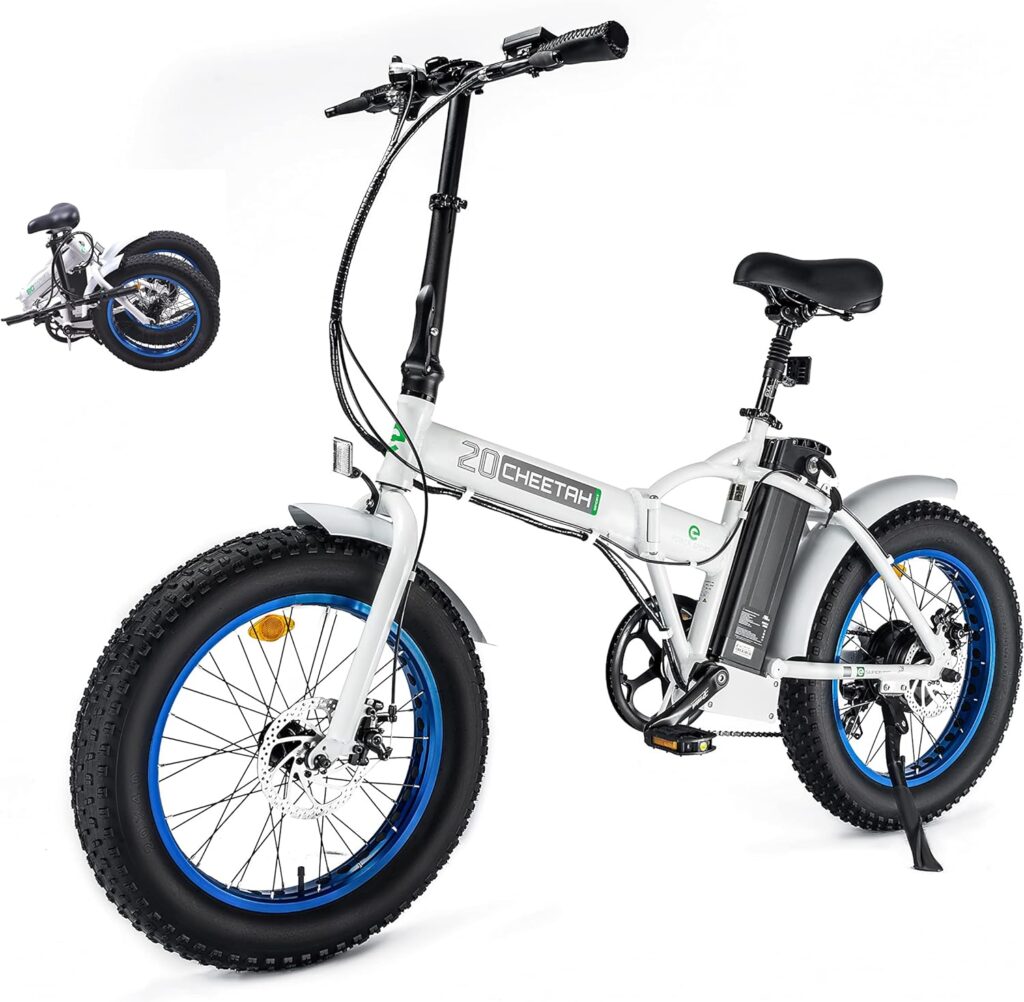 Ecotric Electric Bike Review