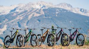 How Much To Spend On First Mountain Bike