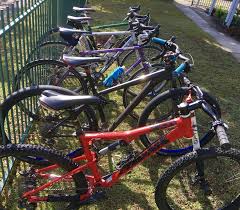 How Many Mountain Bikes Do You Own 