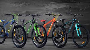 How Many Mountain Bikes Do You Own 