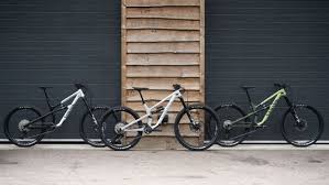 How Many Mountain Bikes Do You Own 