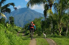 How Much Mountain Bike In Philippines 